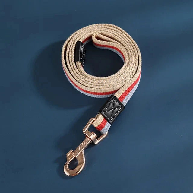 Durable Nylon Dog Leash - Training, Walking, Heavy-Duty for Small, Medium & Large Dogs